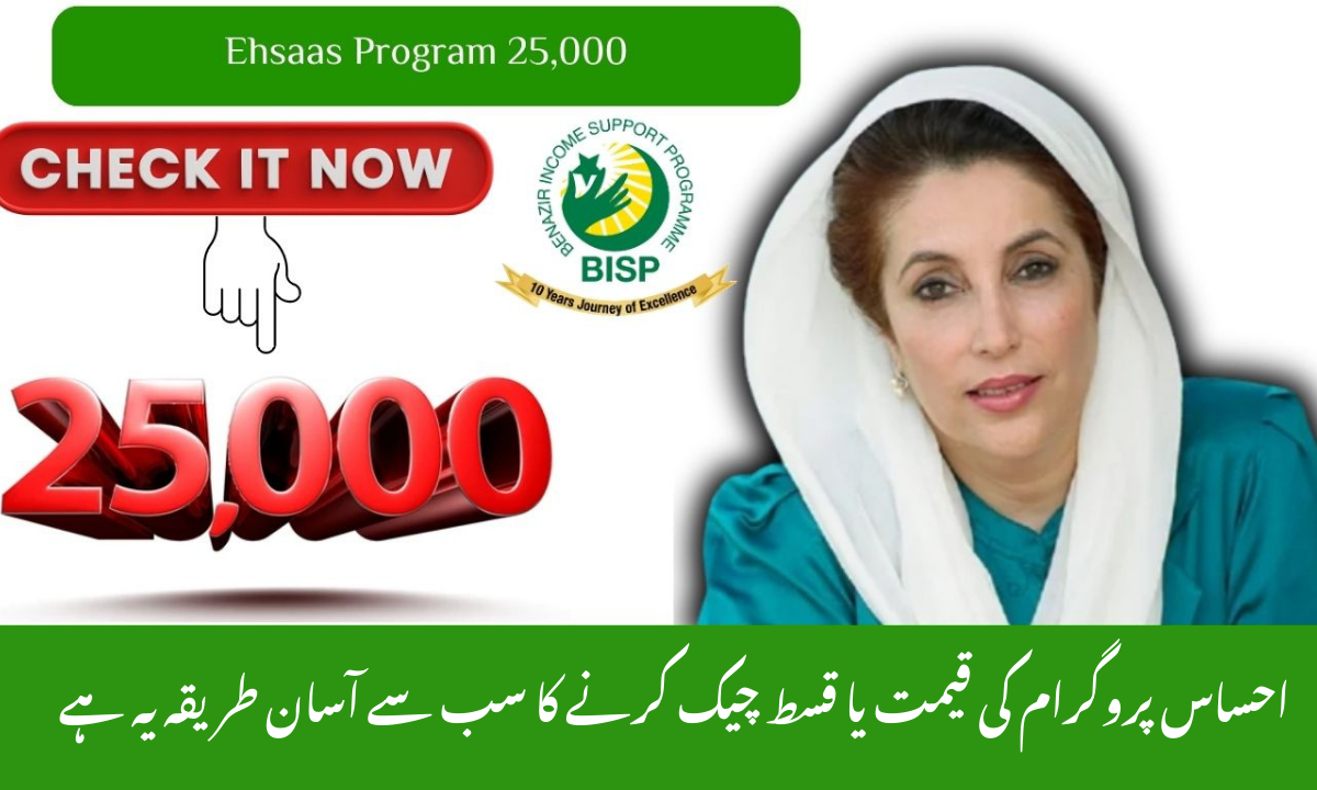 Ehsaas Program 25,000 CNIC Check 2025 — How to Verify CNIC, Eligibility &amp; Payment Details