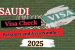 Saudi Visa Check