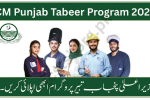 CM Punjab Tabeer Program