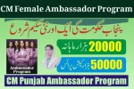 CM Female Ambassador Program