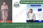 CM Punjab Aasaan Karobaar Program