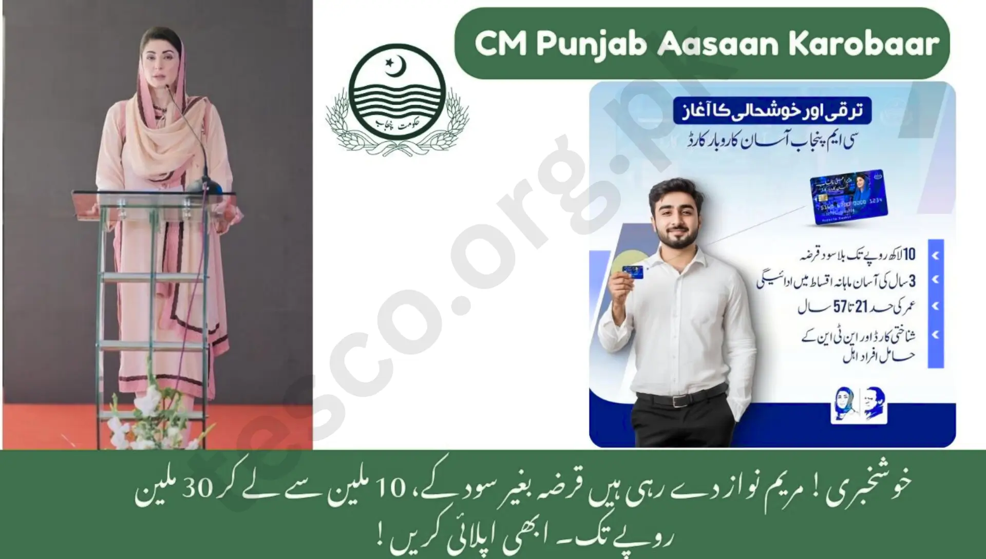 CM Punjab Aasaan Karobaar Program