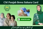 سی ایم پنجاب بیوہ سہارا کارڈ رجسٹریشن