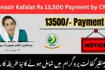 Check Benazir Kafalat Rs 13 500 Payment