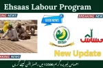 How To Register For Ehsaas Labour Program 13500 in 2025