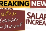Punjab Employees Celebrate Rs. 15 000 Salary Increase