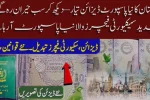 Pakistan to Change Passport Design Soon Everything You Need to Know 2025