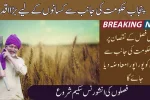 Punjab Crop Insurance Scheme