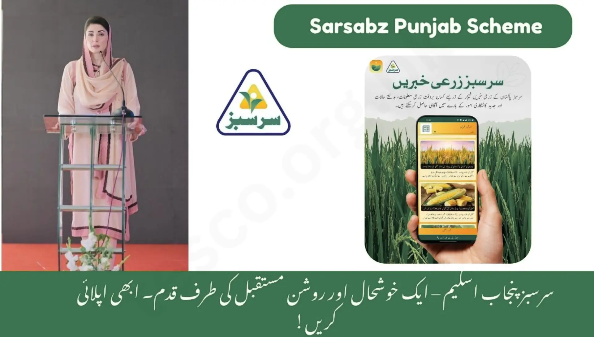 Sarsabz Punjab Scheme