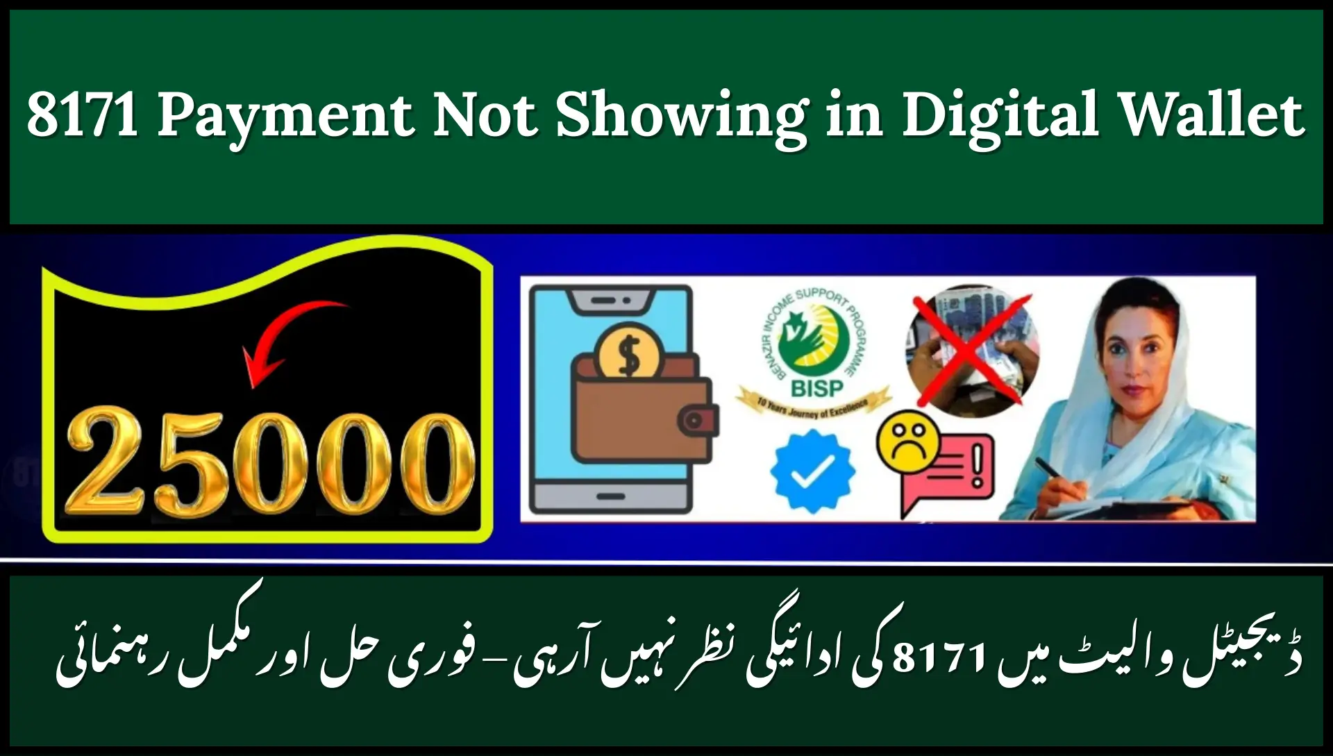 8171 Payment Not Showing in Digital Wallet