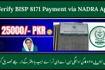 Verify BISP 8171 Payment via NADRA App or Office