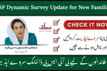 BISP Dynamic Survey Update for New Families – Complete 2025 Guide