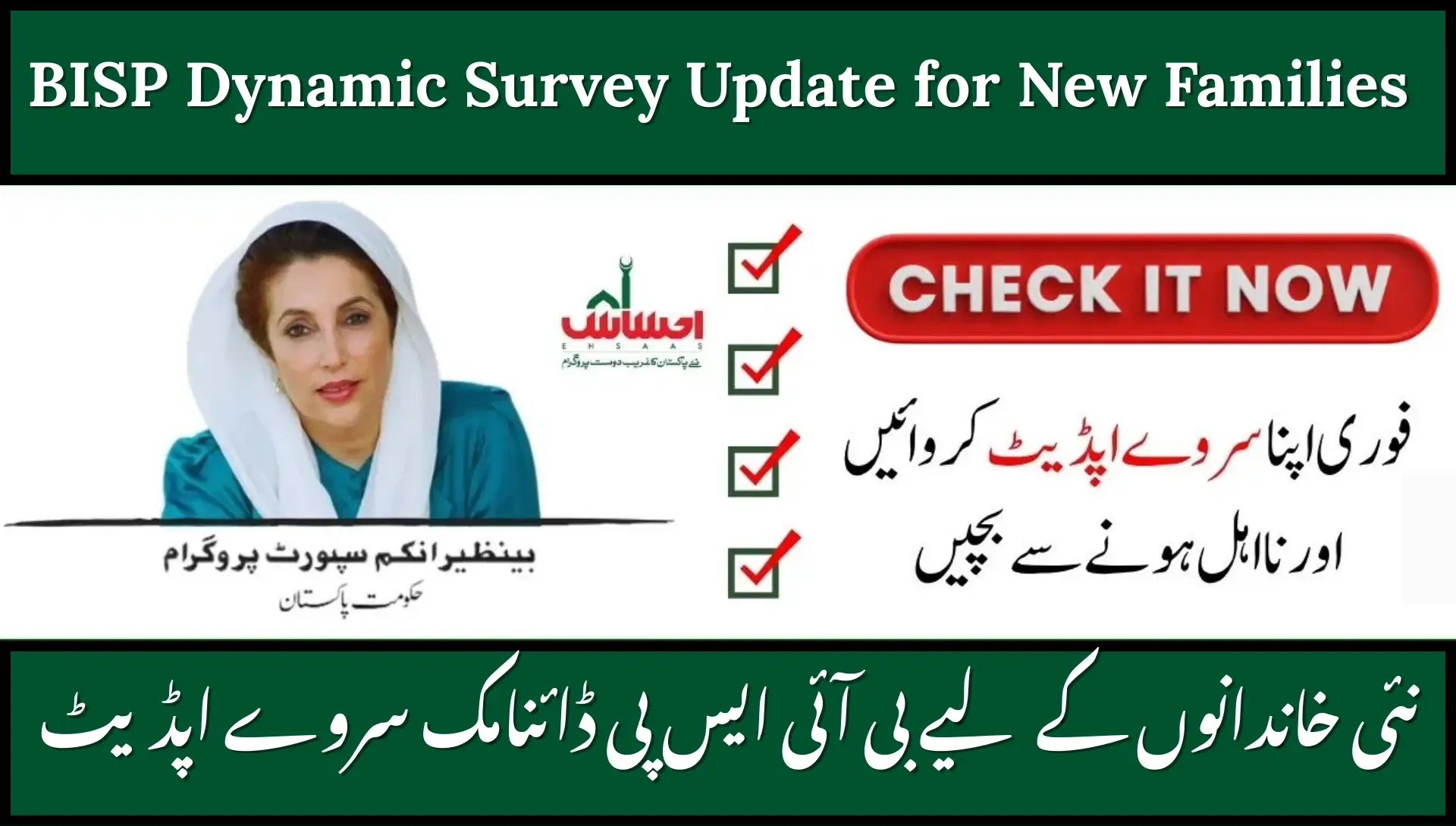 BISP Dynamic Survey Update for New Families – Complete 2025 Guide