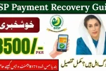 BISP Payment Recovery Guide
