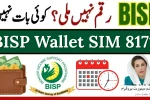 BISP Wallet SIM 8171