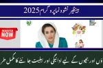 Benazir Nashonuma Programme 2025 – Check Payments & Eligibility for Mothers and Children
