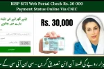 BISP 8171 Web Portal Check Rs. 30 000 Payment Status Online Via CNIC